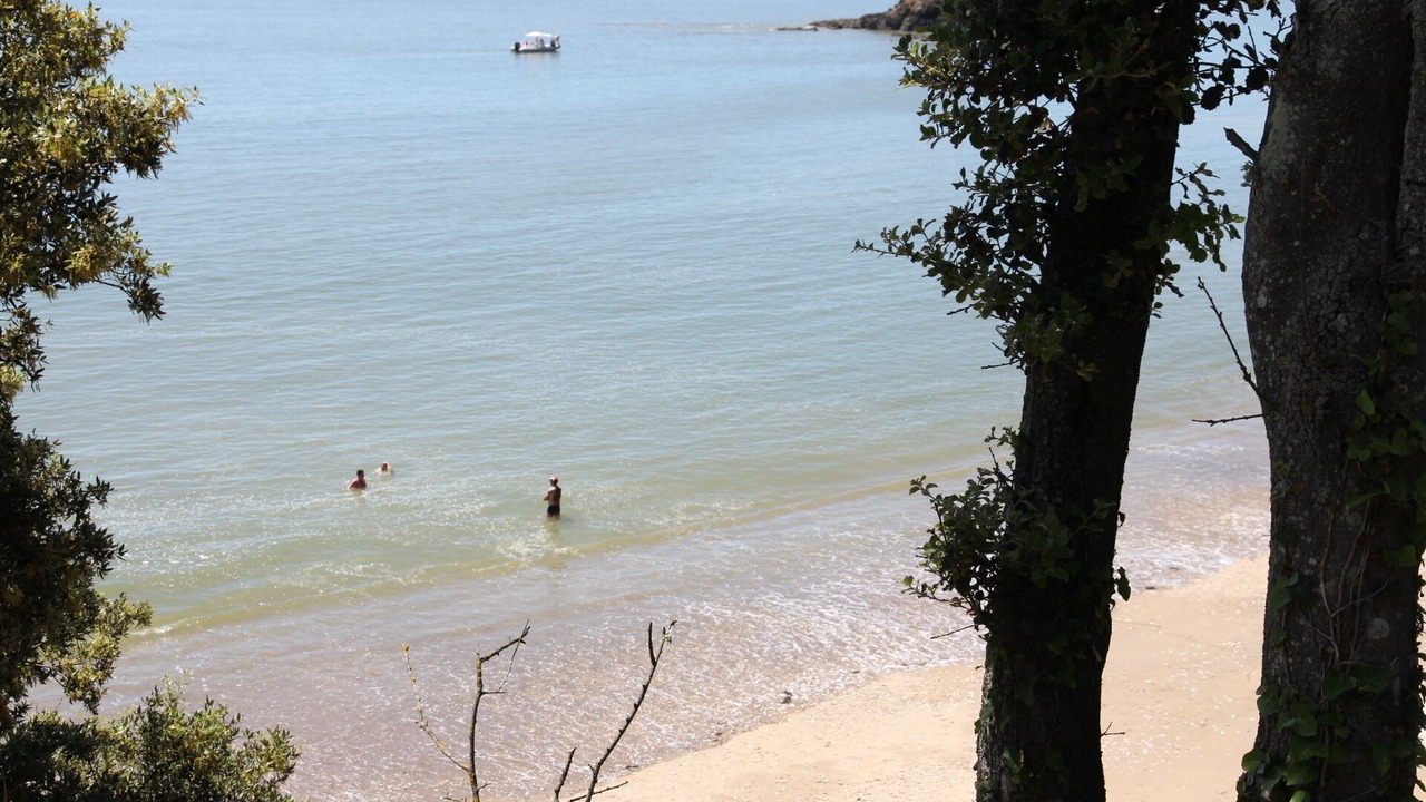 Photo of Others in Saint-Nazaire