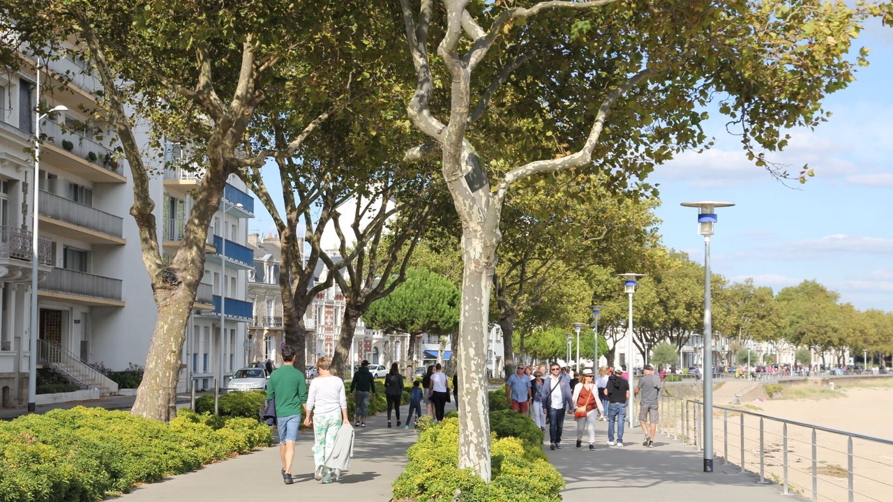 Photo of Others in Saint-Nazaire