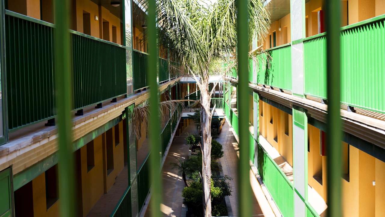 Photo of Outdoor in L'Eucaliptus