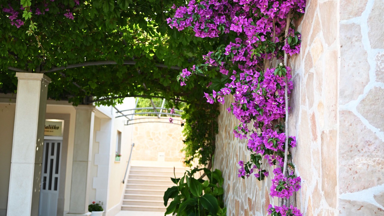 Photo of Outdoor in Hvar