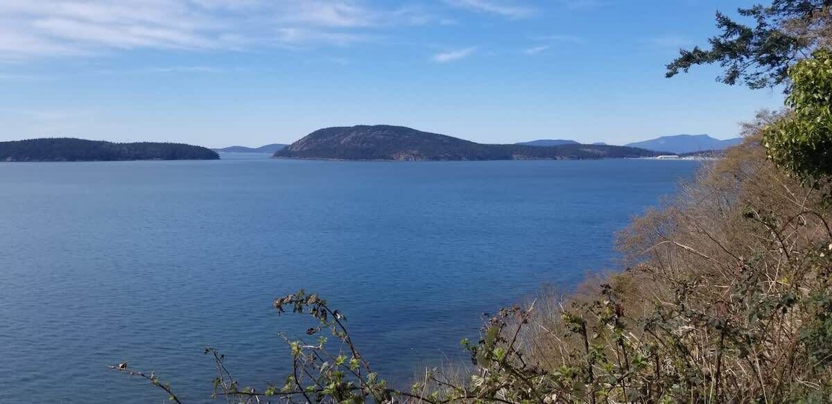 Photo of Others in Anacortes