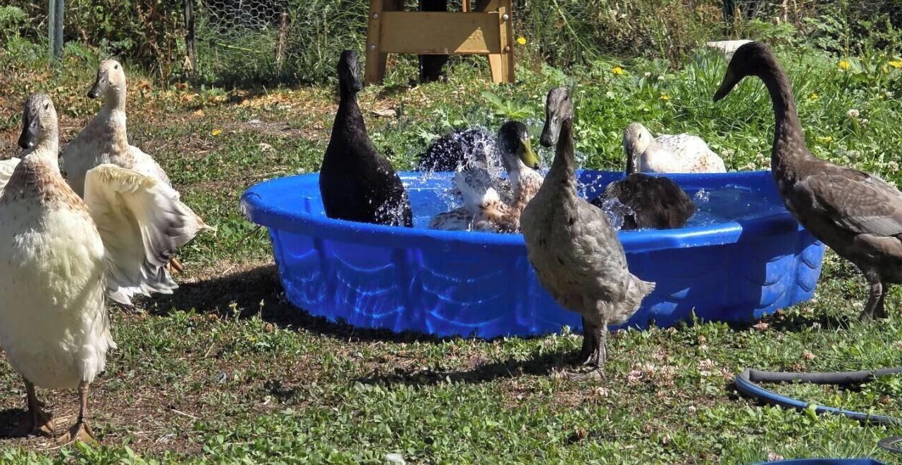 Photo of Others in Anacortes