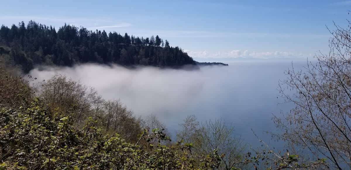 Photo of Others in Anacortes