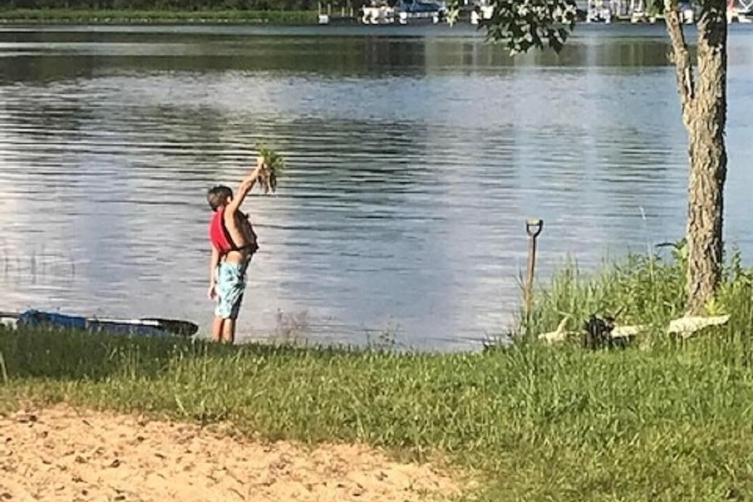 Photo of Others in Baldwin
