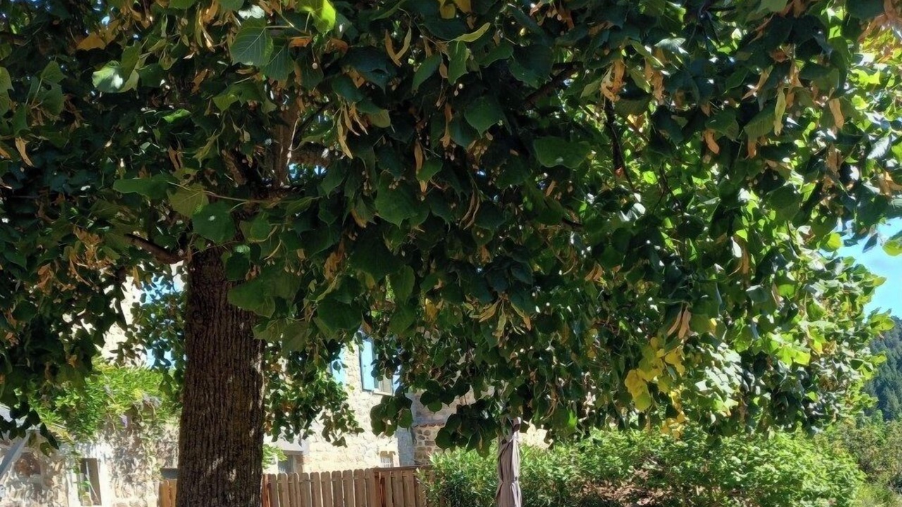 Photo of Outdoor in Saint-Felicien