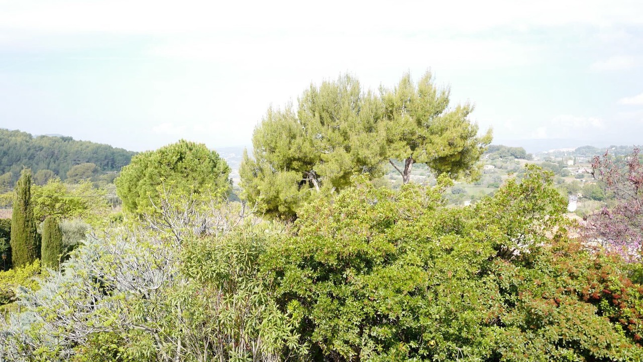 Photo of Others in Le Beausset