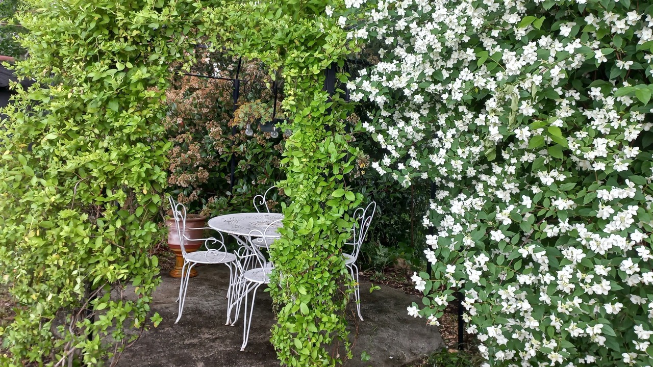 Photo of Outdoor in Rosieres