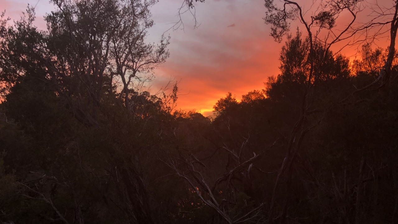 Photo of Others in Mount Martha