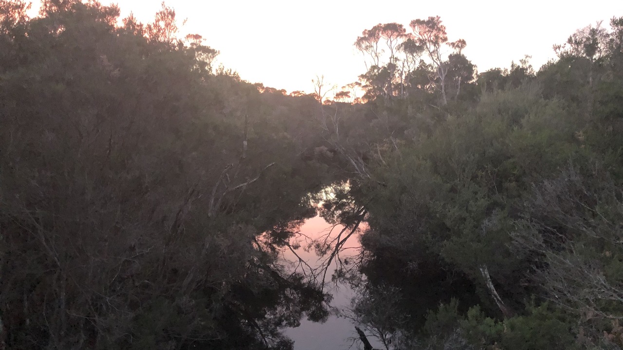 Photo of Others in Mount Martha