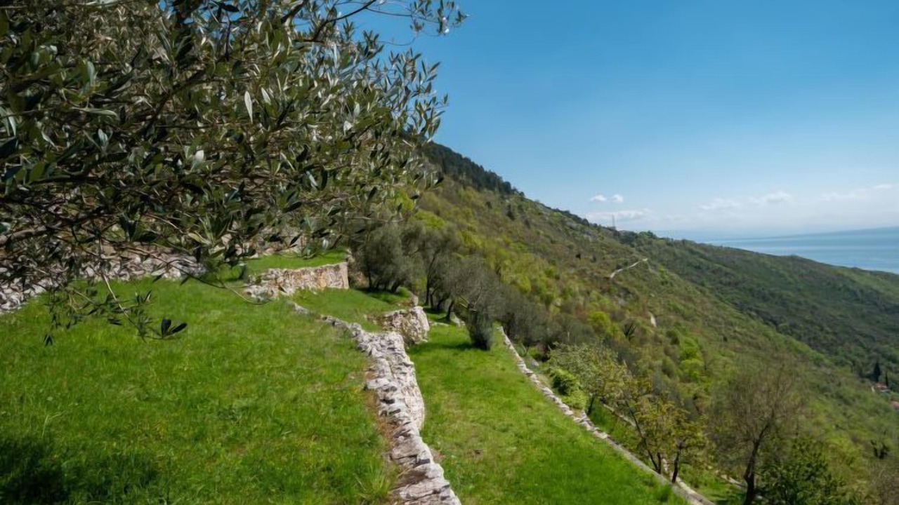 Photo of Others in Sucici
