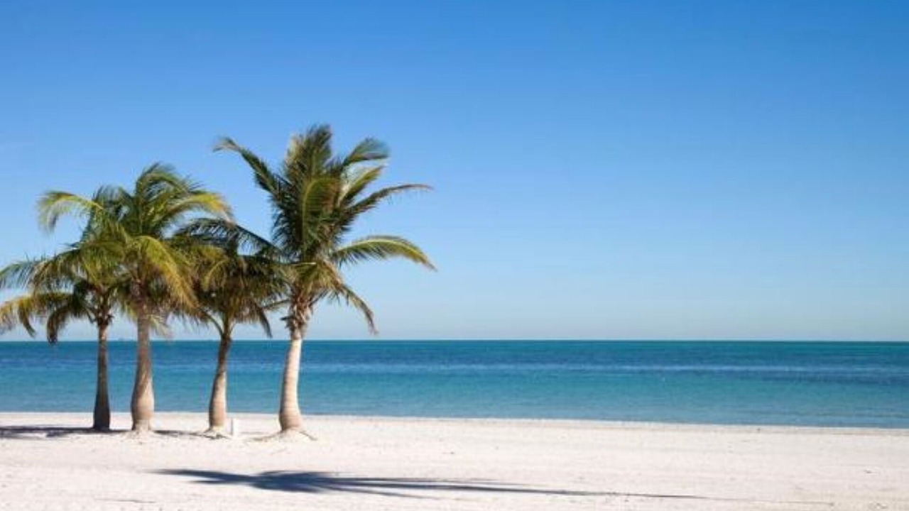Photo of Others in Key Biscayne