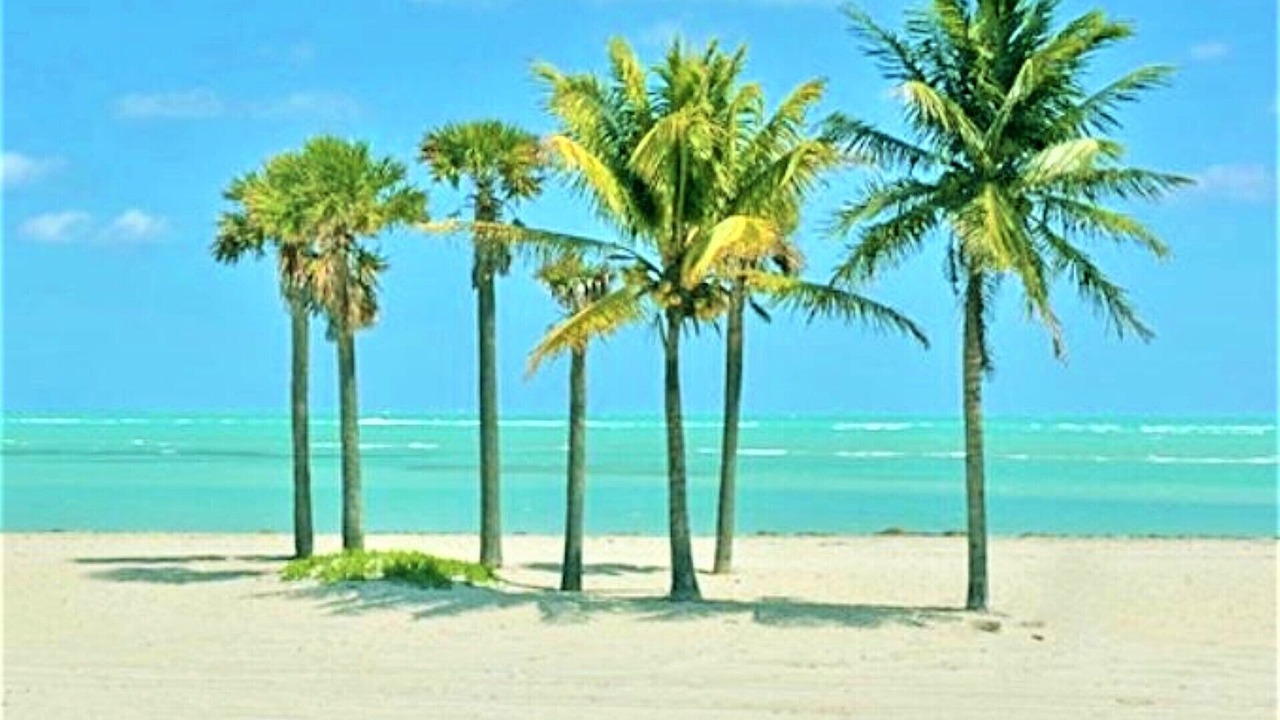 Photo of Others in Key Biscayne