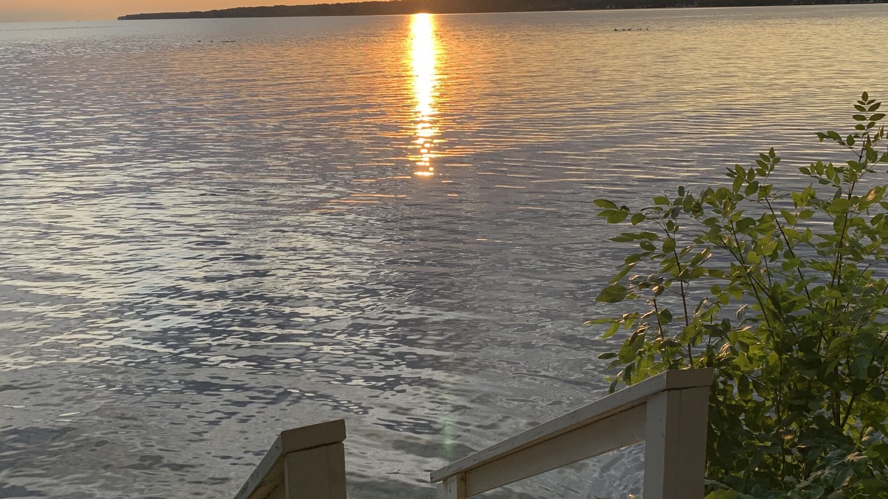 Photo of Others in Blossvale