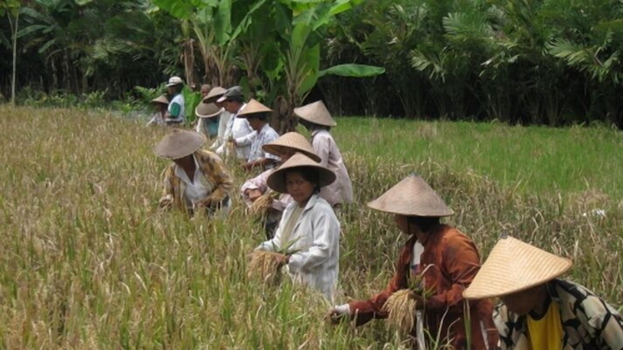 Photo of Others in Turi