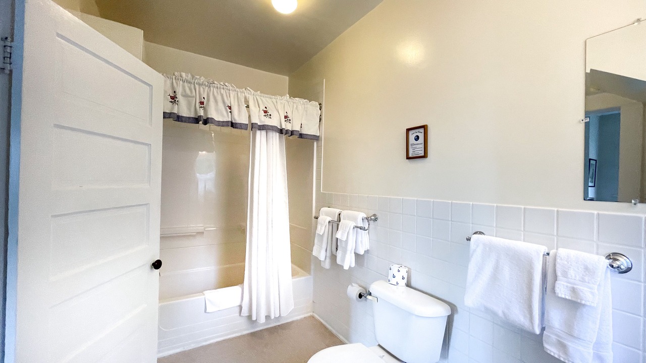 Photo of Bathroom in Pulaski