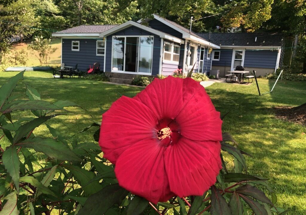 Photo of Outdoor in Lowell