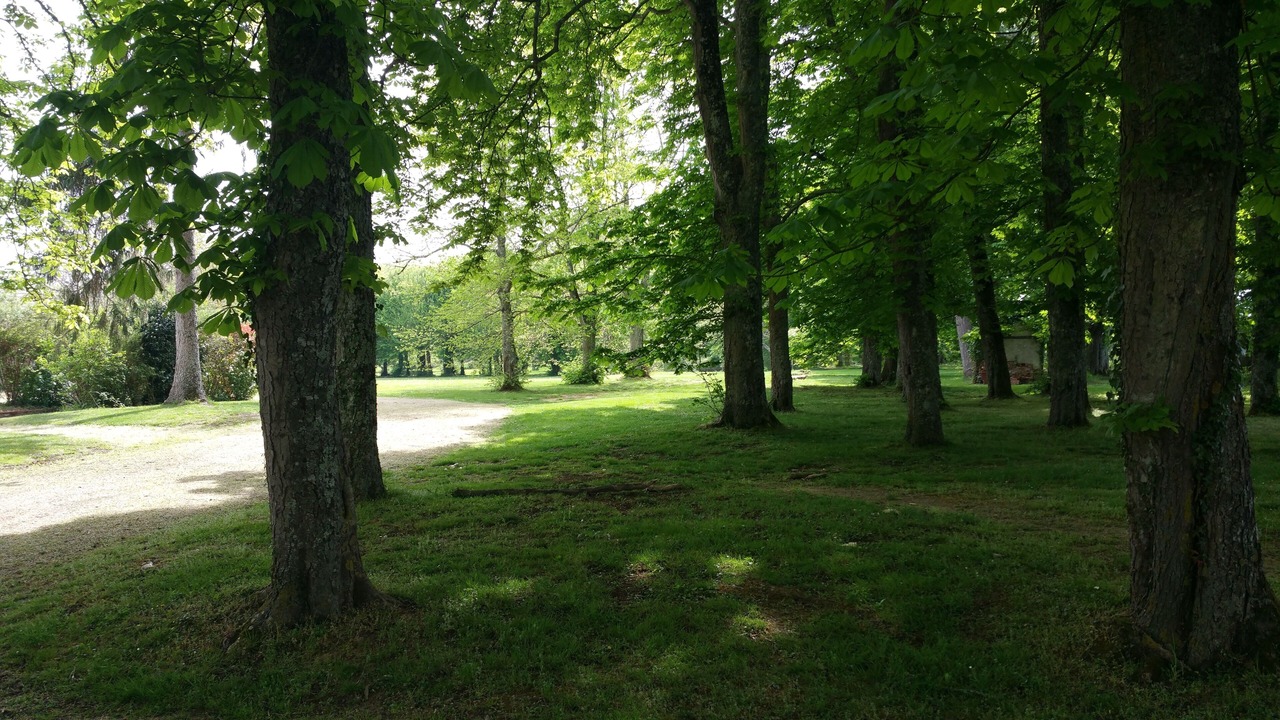 Photo of Outdoor in Bagneux