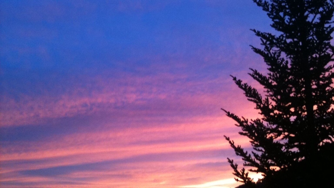 Photo of Outdoor in Albinen