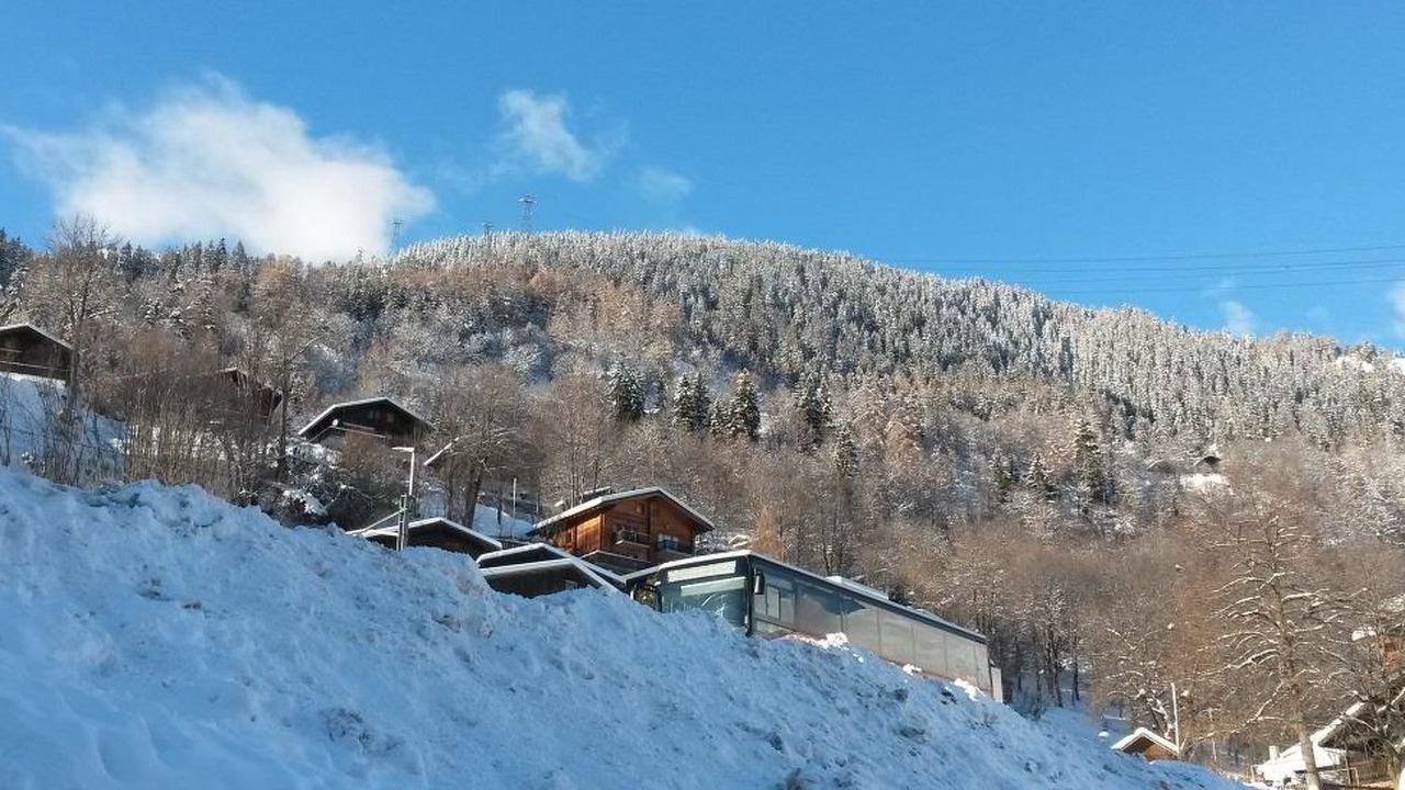 Photo of Others in Fiesch