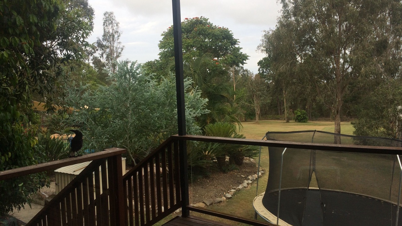 Photo of Others in Ormeau