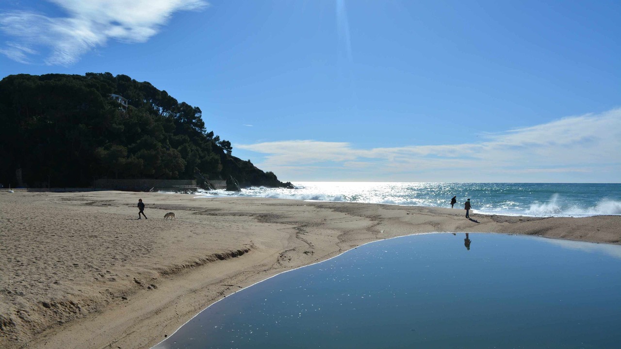 Photo of Others in Lloret de Mar
