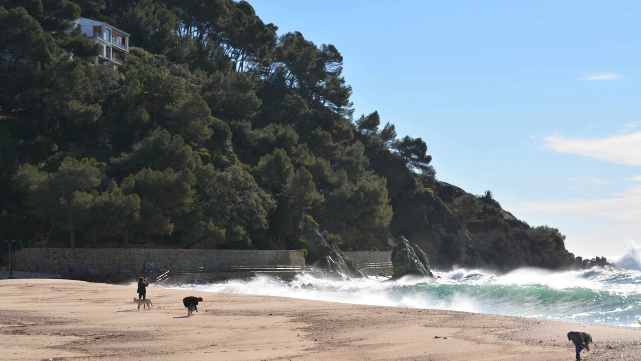 Photo of Others in Lloret de Mar