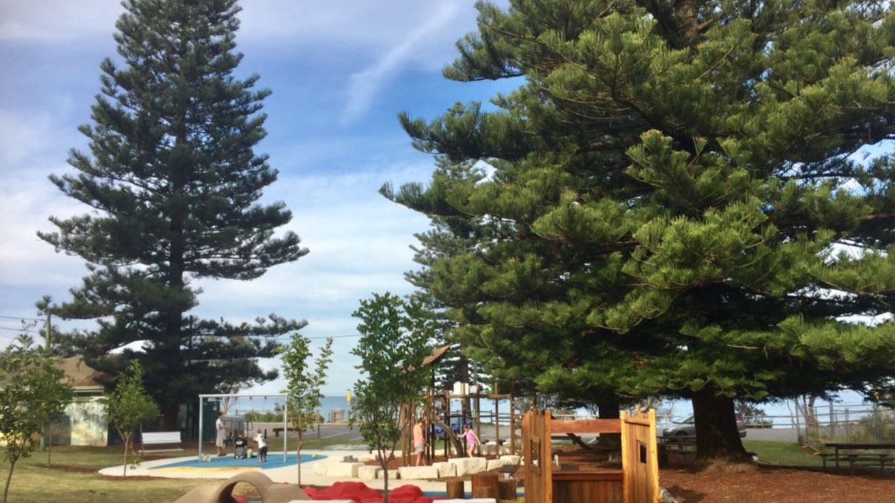 Photo of Others in Macmasters Beach