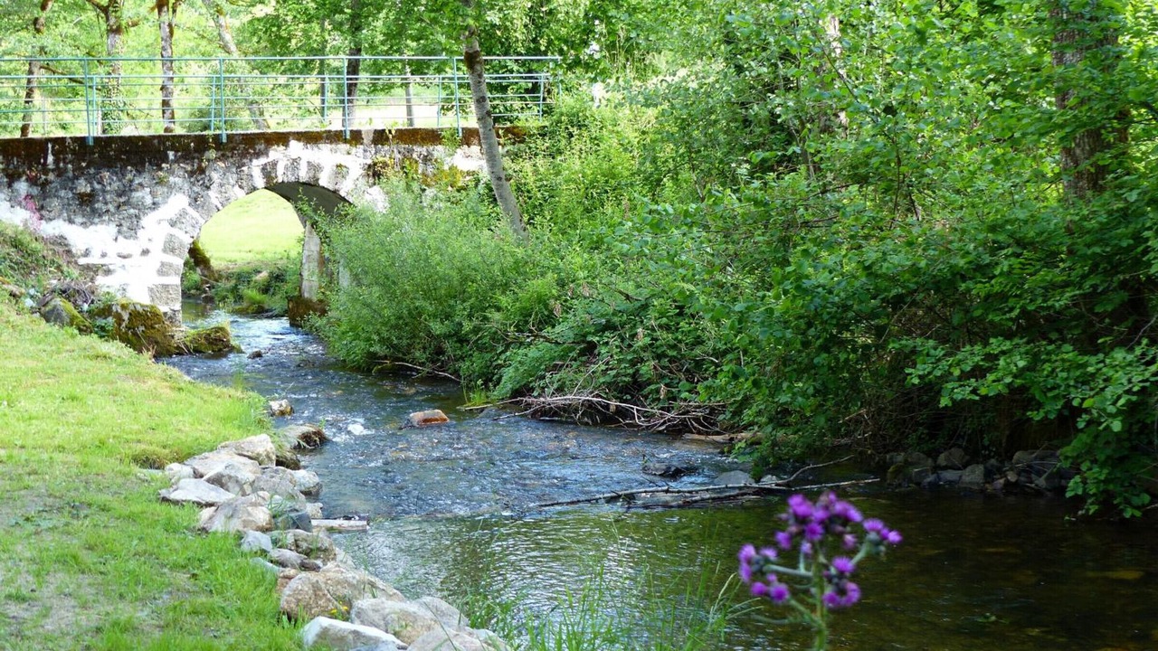 Photo of Outdoor in Ferrieres-sur-Sichon