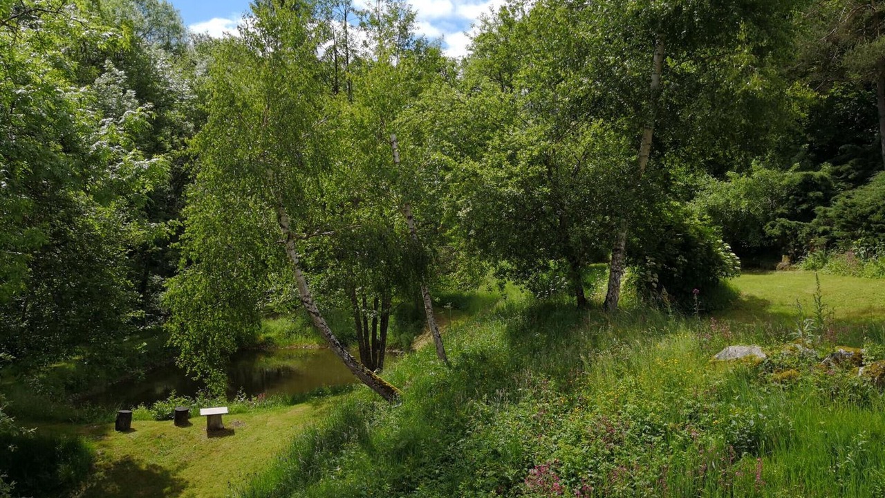 Photo of Outdoor in Ferrieres-sur-Sichon
