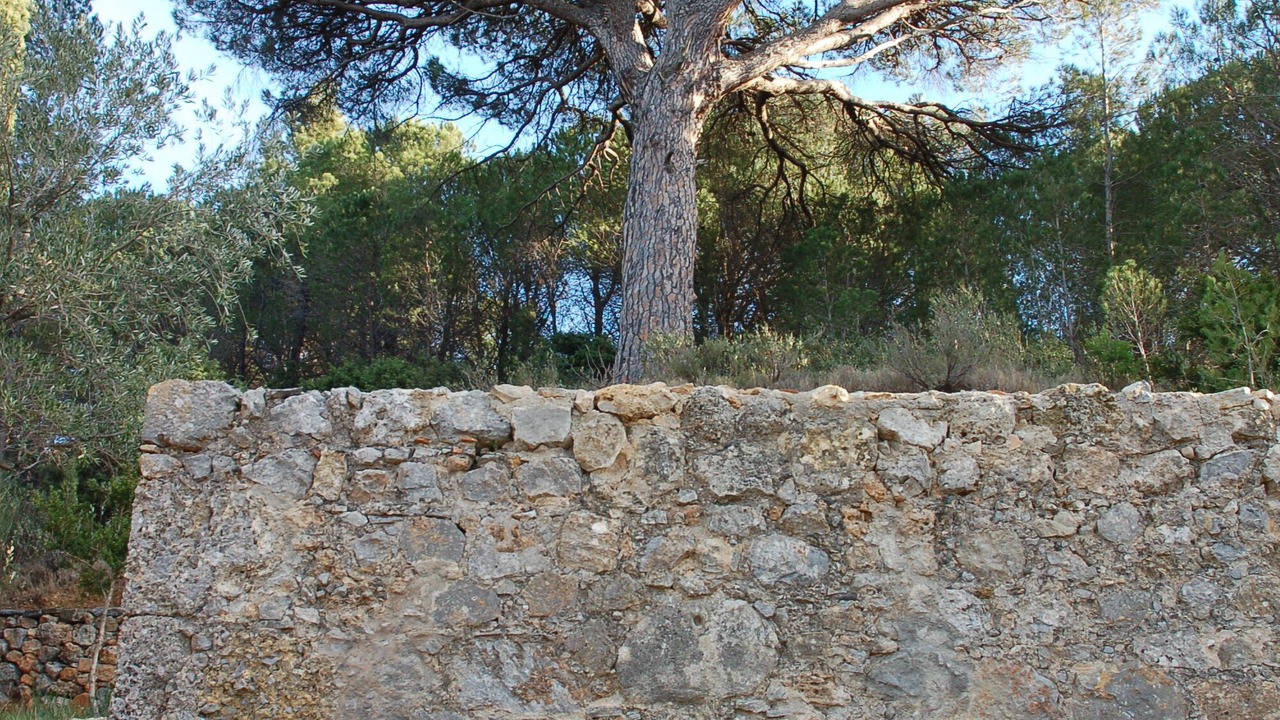 Photo of Outdoor in Paziols