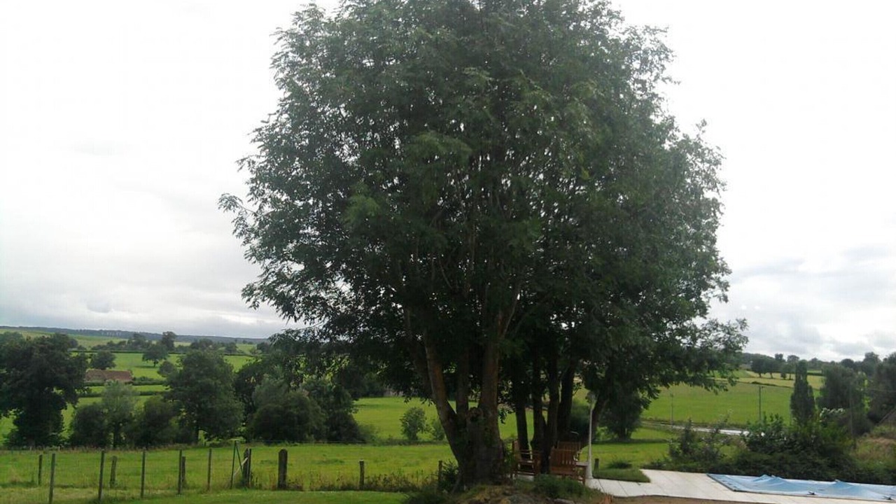 Photo of Outdoor in Chirat-l'Eglise