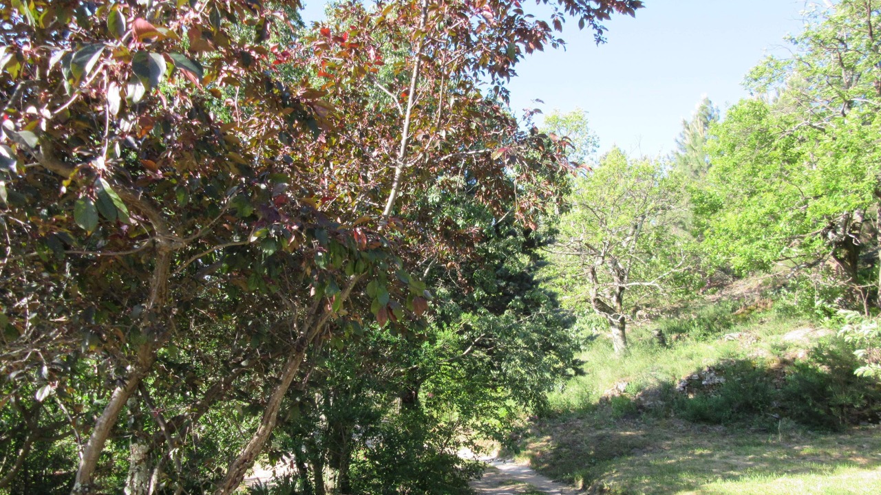 Photo of Outdoor in Beaumont