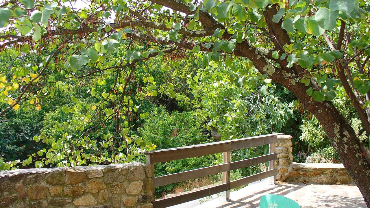 Photo of Patio Balcony in Beaumont