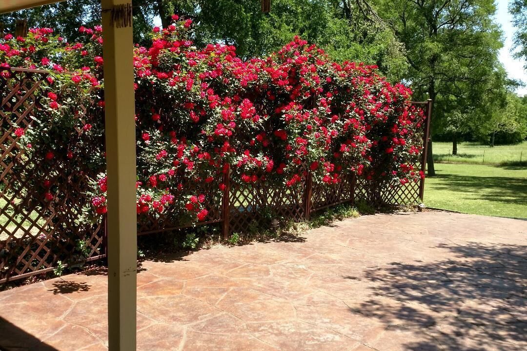 Photo of Outdoor in Bryan