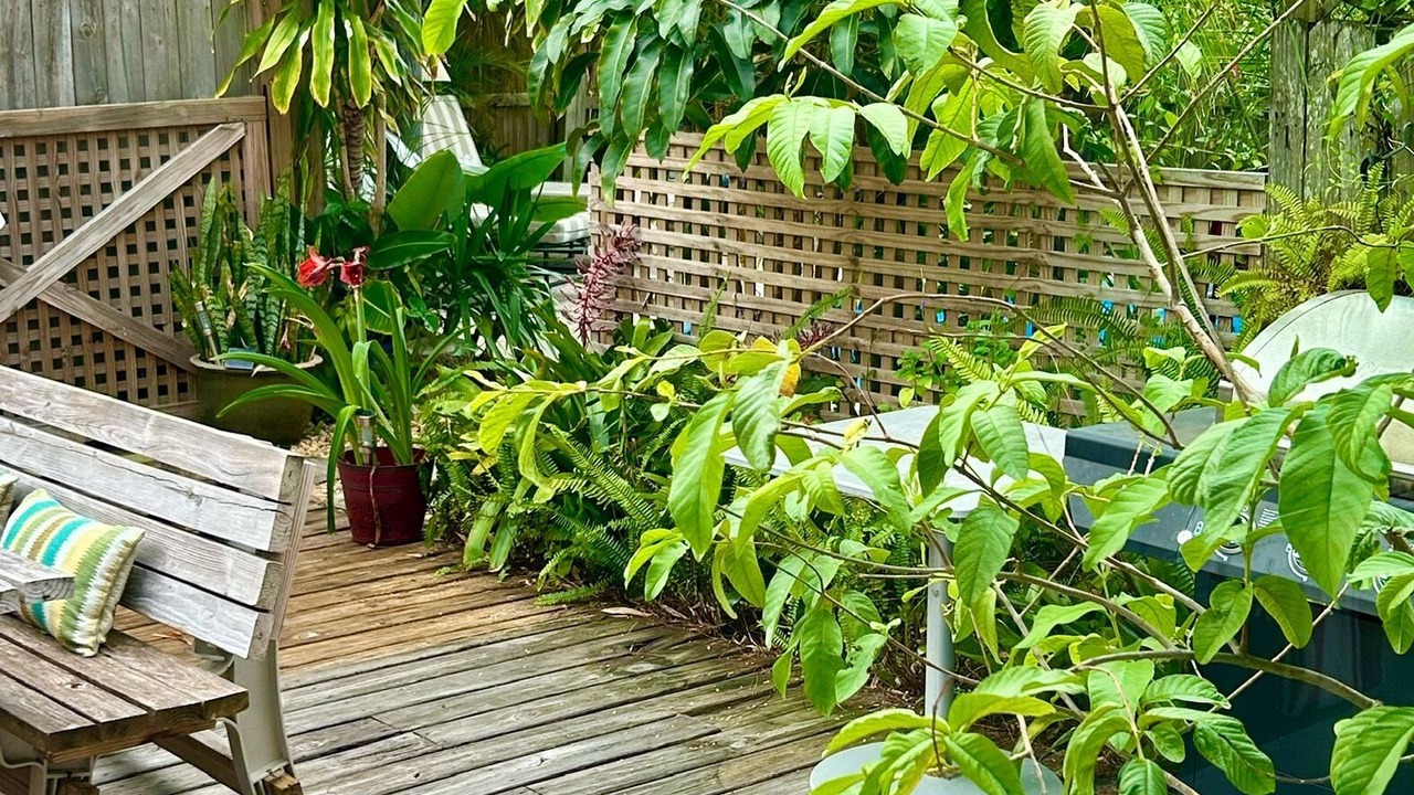 Photo of Others in Mango Groves