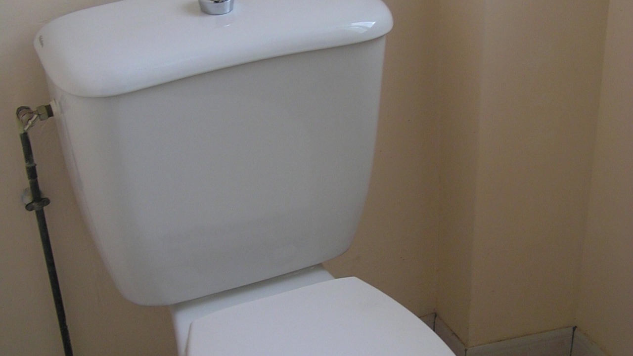 Photo of Others in Issac