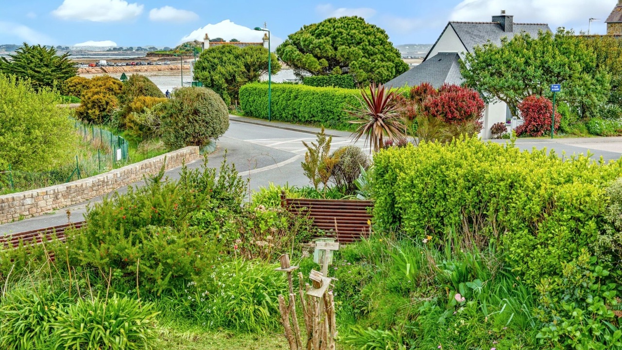 Photo of Others in Saint-Pol-de-Leon