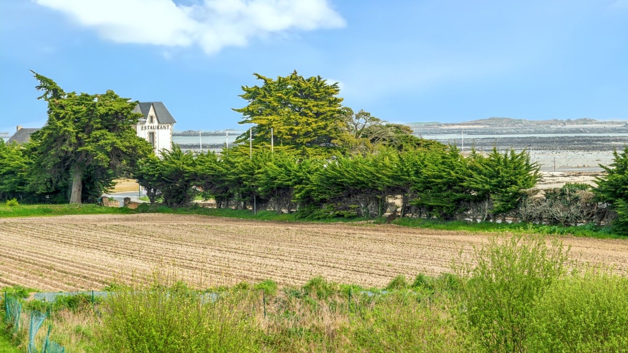 Photo of Others in Saint-Pol-de-Leon