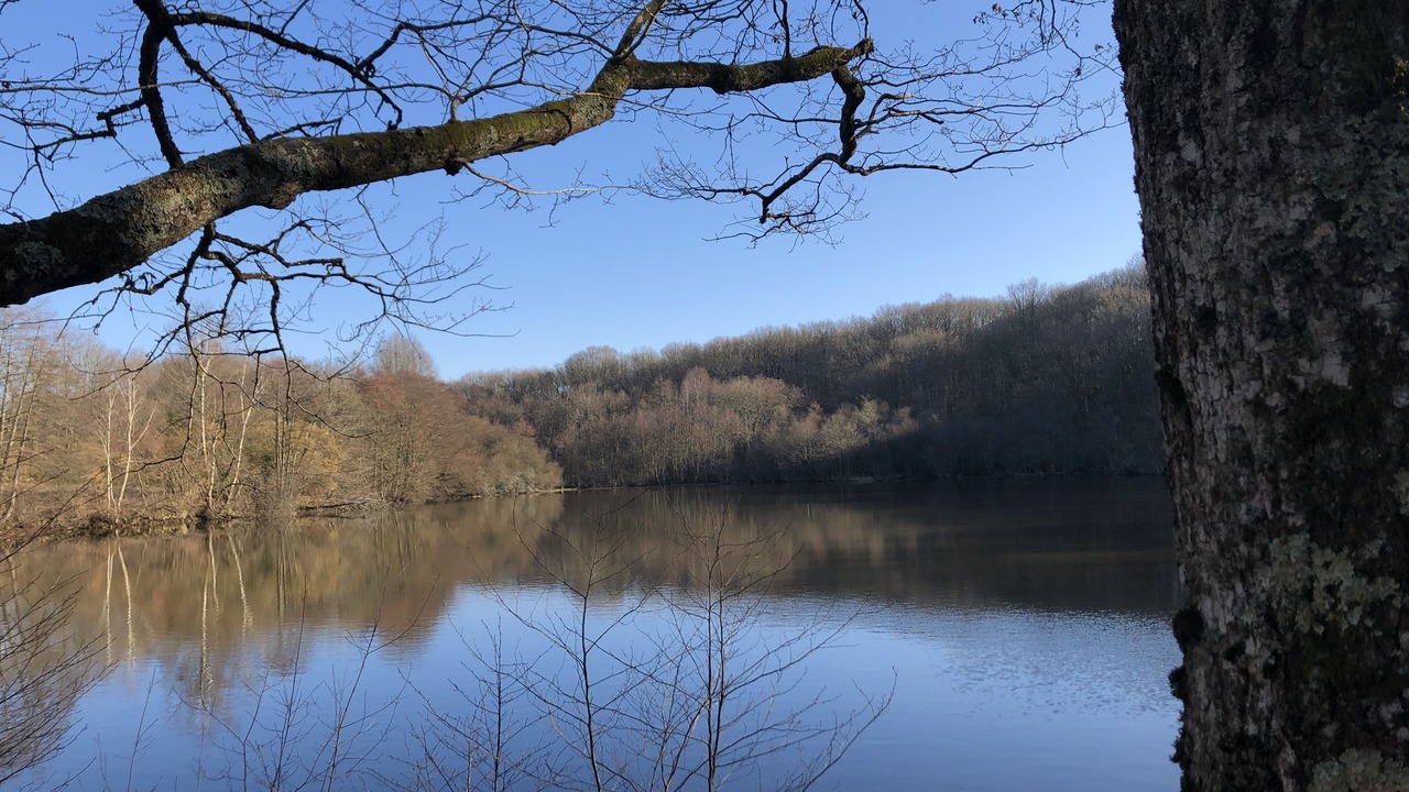 Photo of Others in Augeres