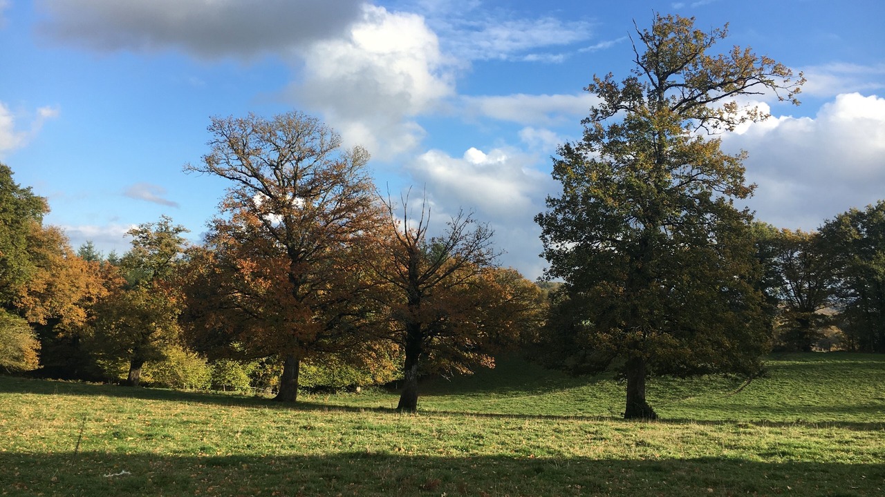 Photo of Others in Augeres