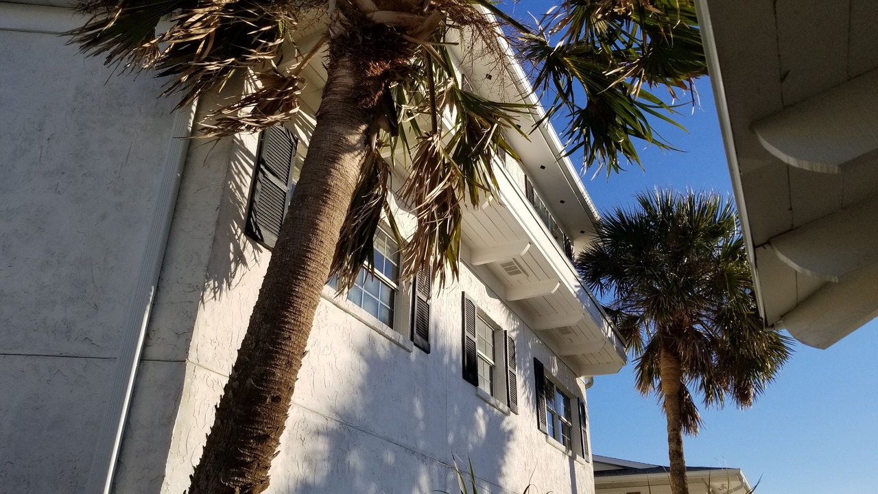 Photo of Others in Fernandina Beach
