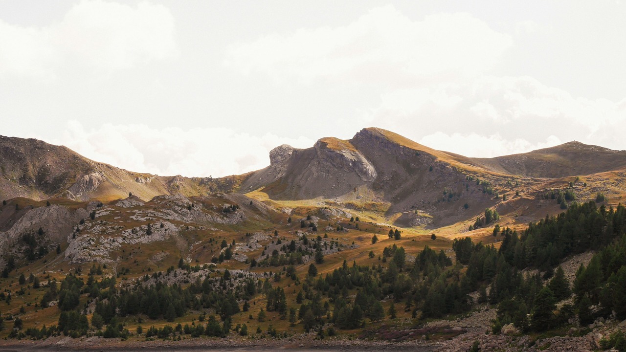 Photo of Others in Allos