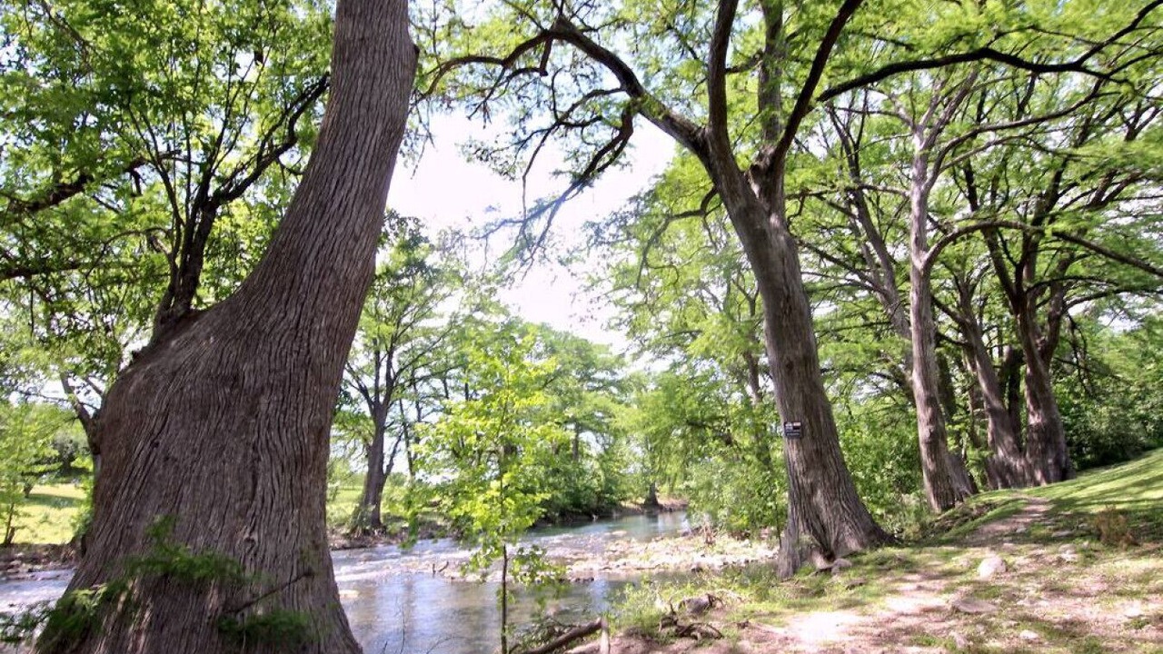 Photo of Outdoor in New Braunfels