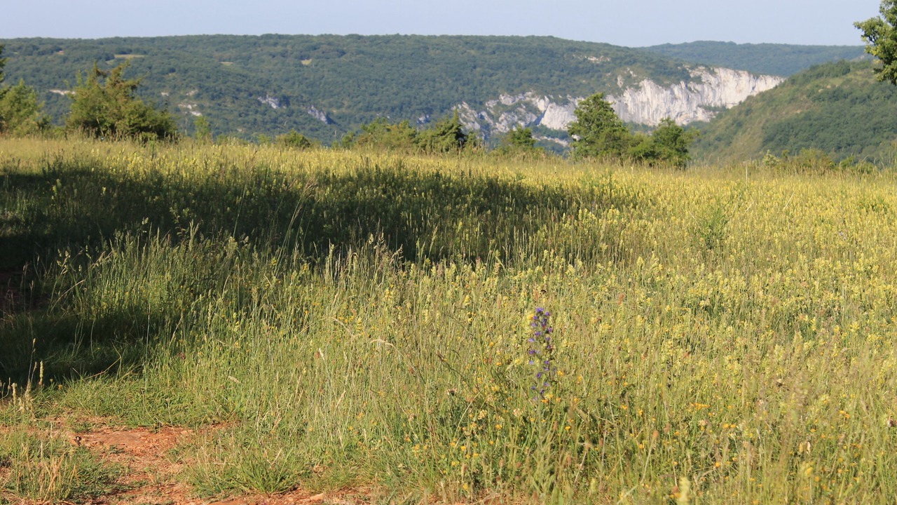 Photo of Others in Saint-Antonin Noble Val