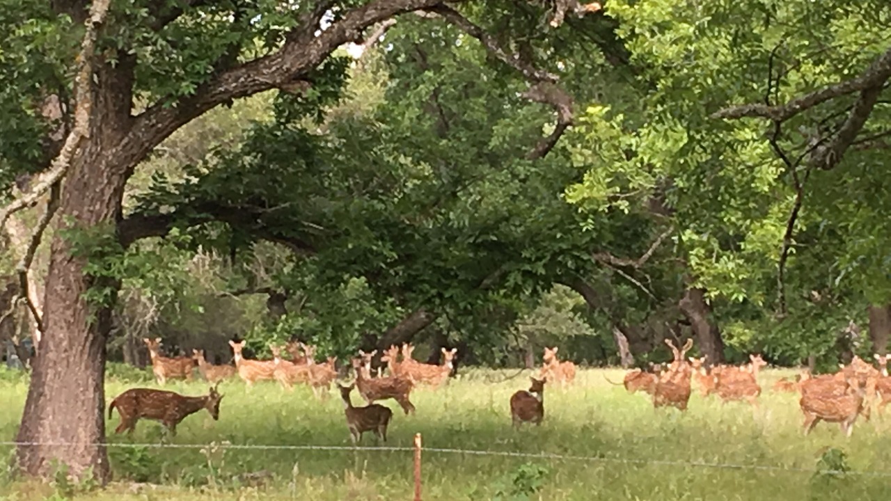 Photo of Others in Mullin