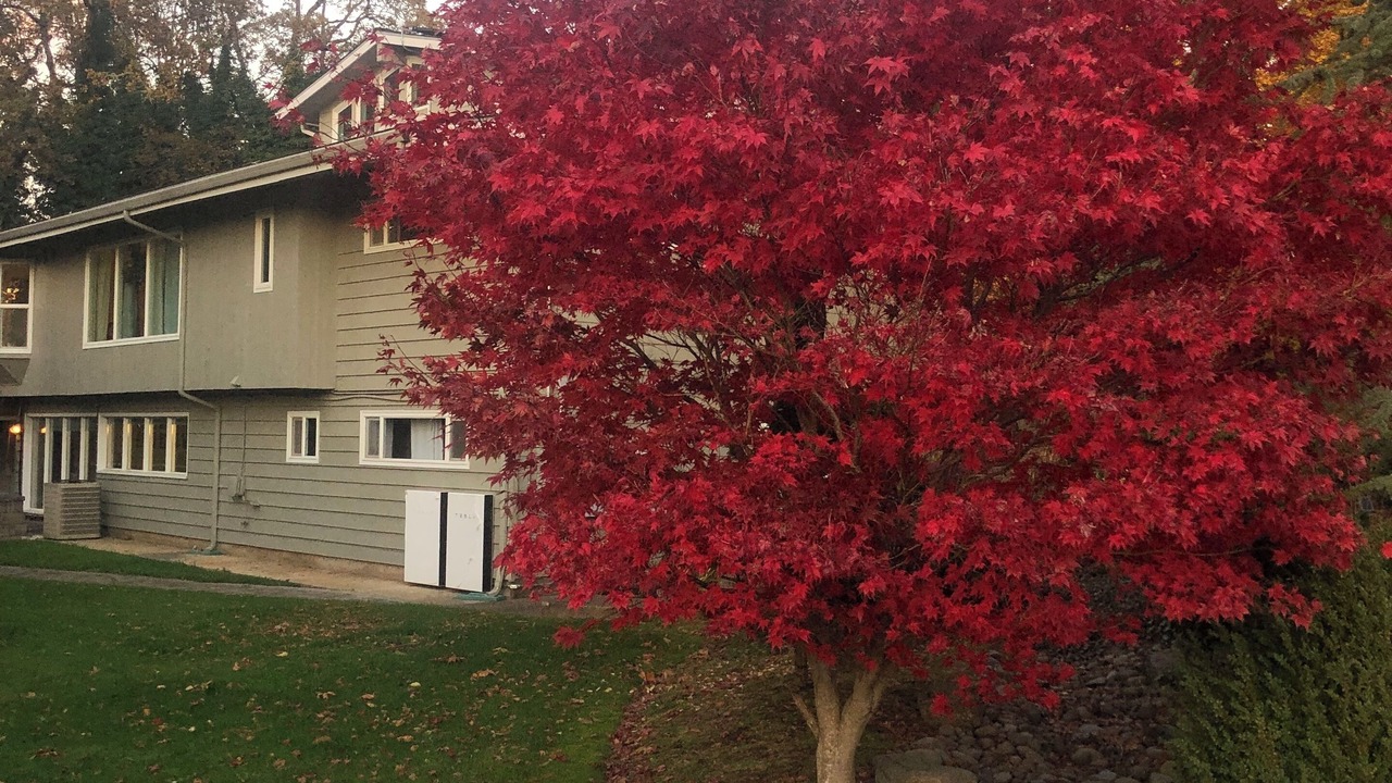 Photo of Outdoor in Salem