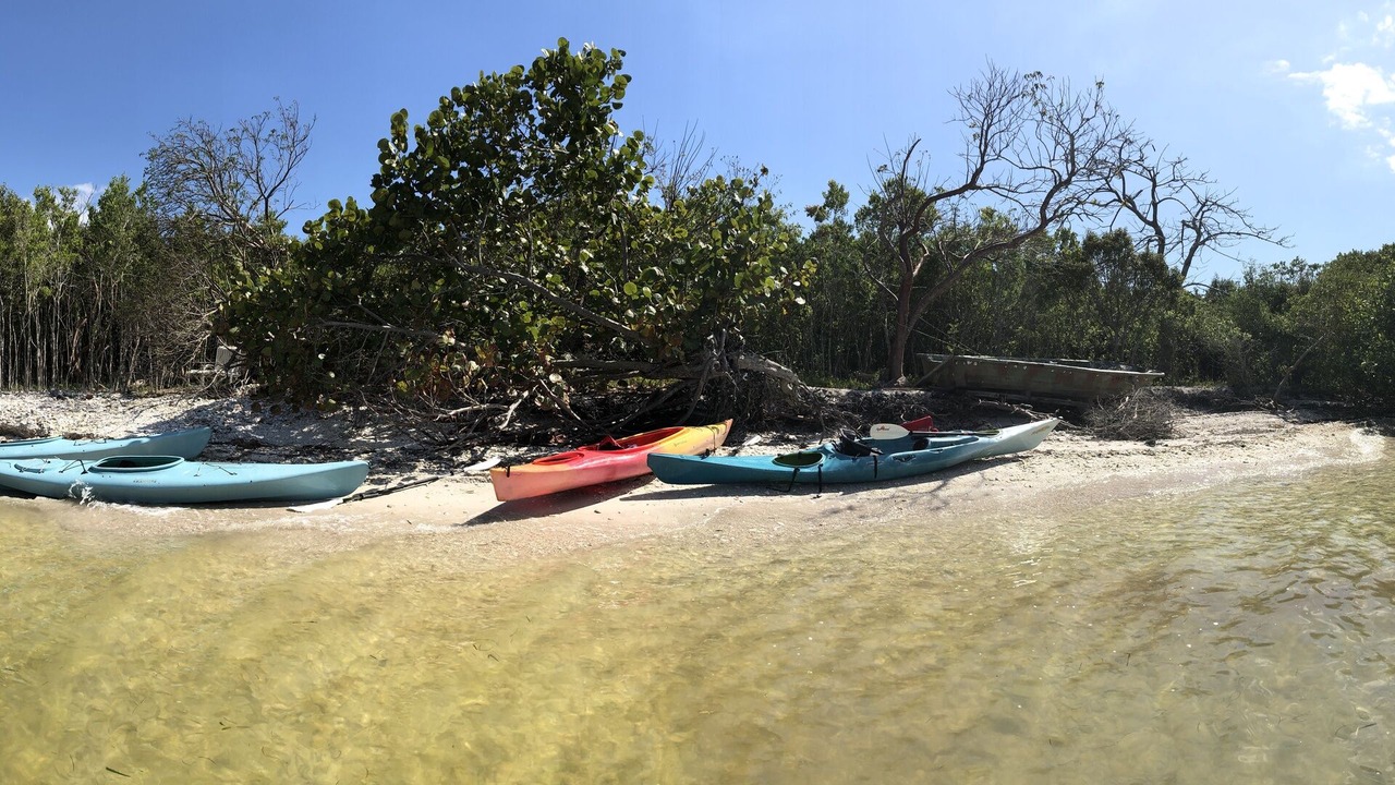 Photo of Others in Pine Island Center
