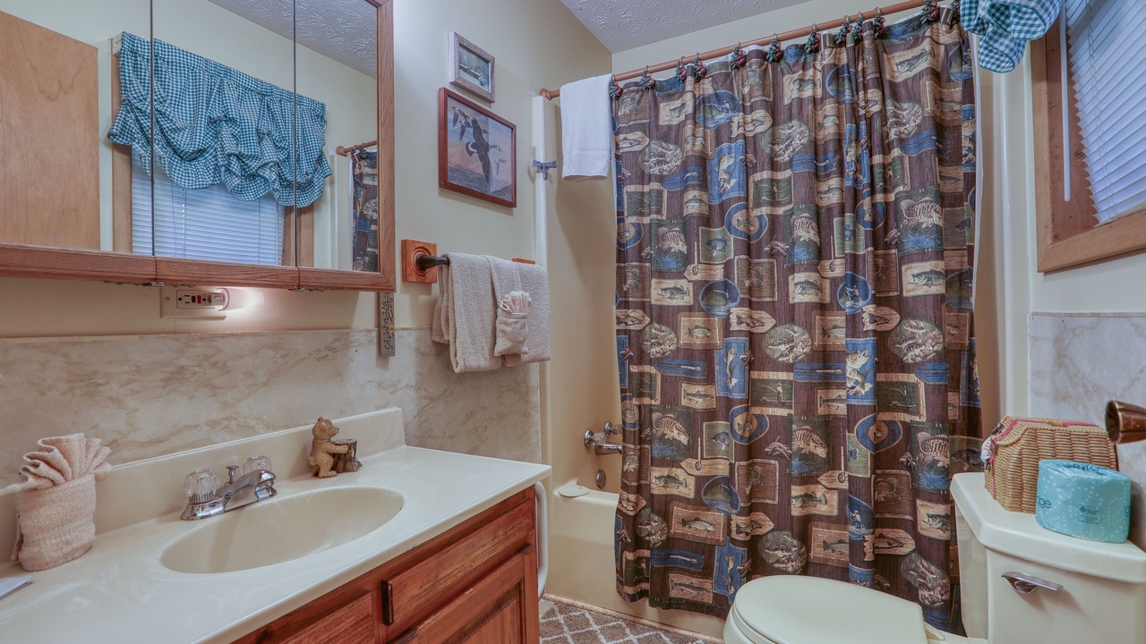 Photo of Bathroom in Cosby