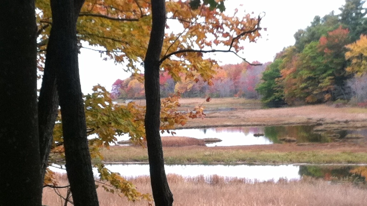 Photo of Outdoor in Wells