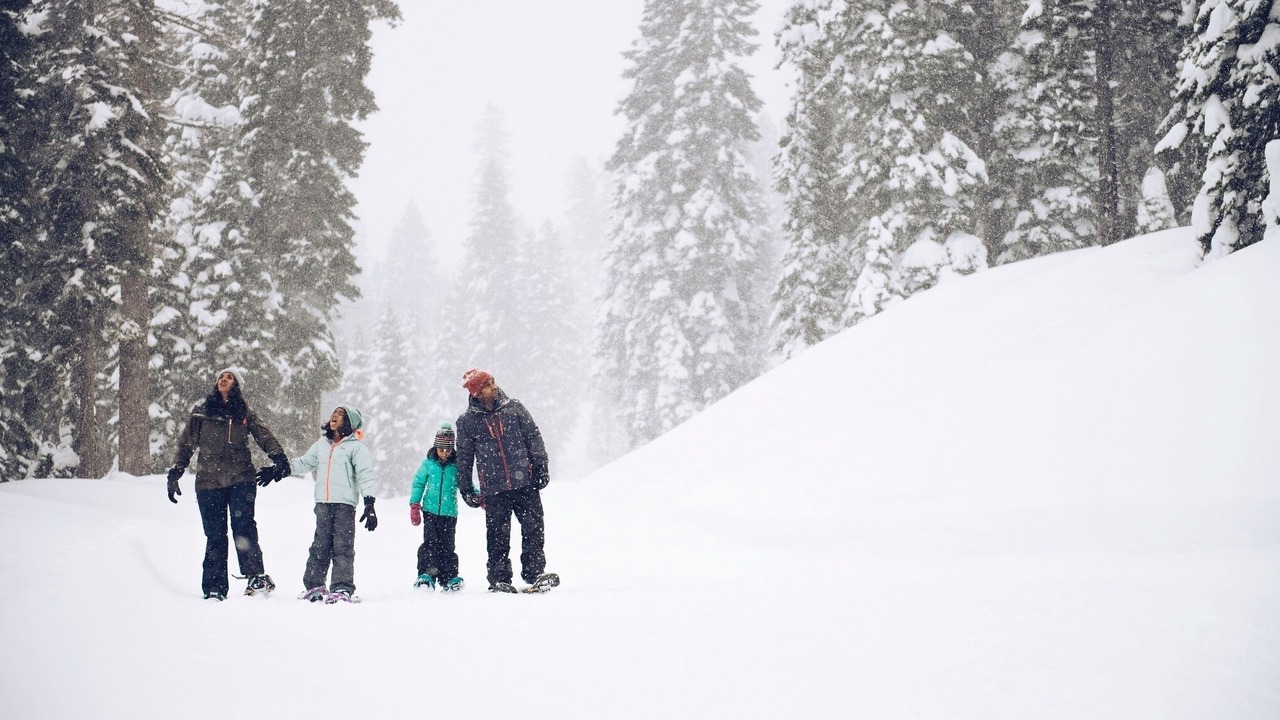 Photo of Others in Truckee